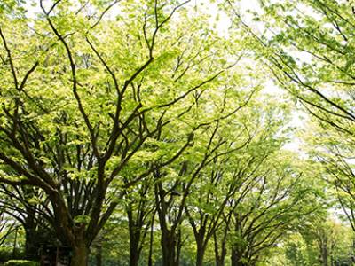 公園｜ザ・パークハウス横浜港南台